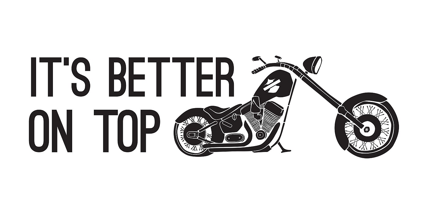 Passion Stickers - Motorbike Decals - Harley Davidson